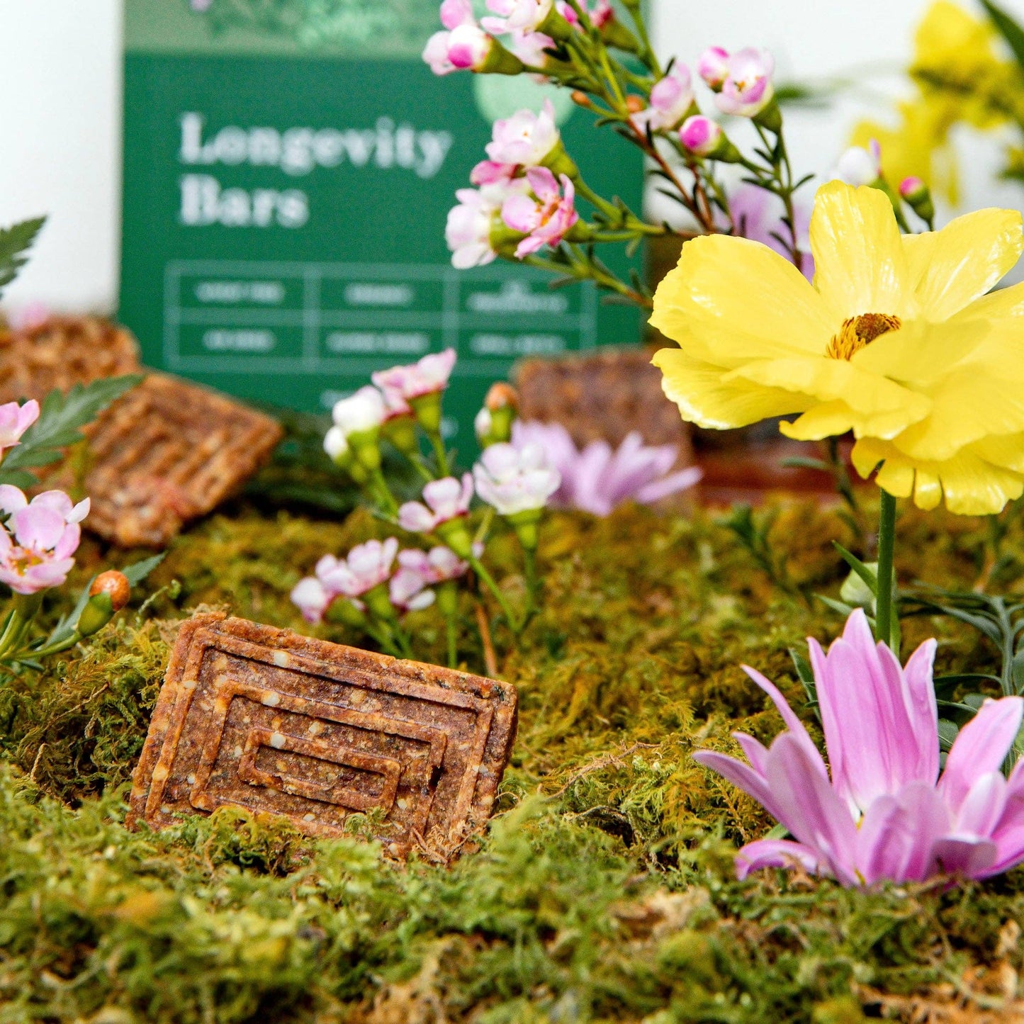 Plant Dog- Longevity Wellness Bar (Box)