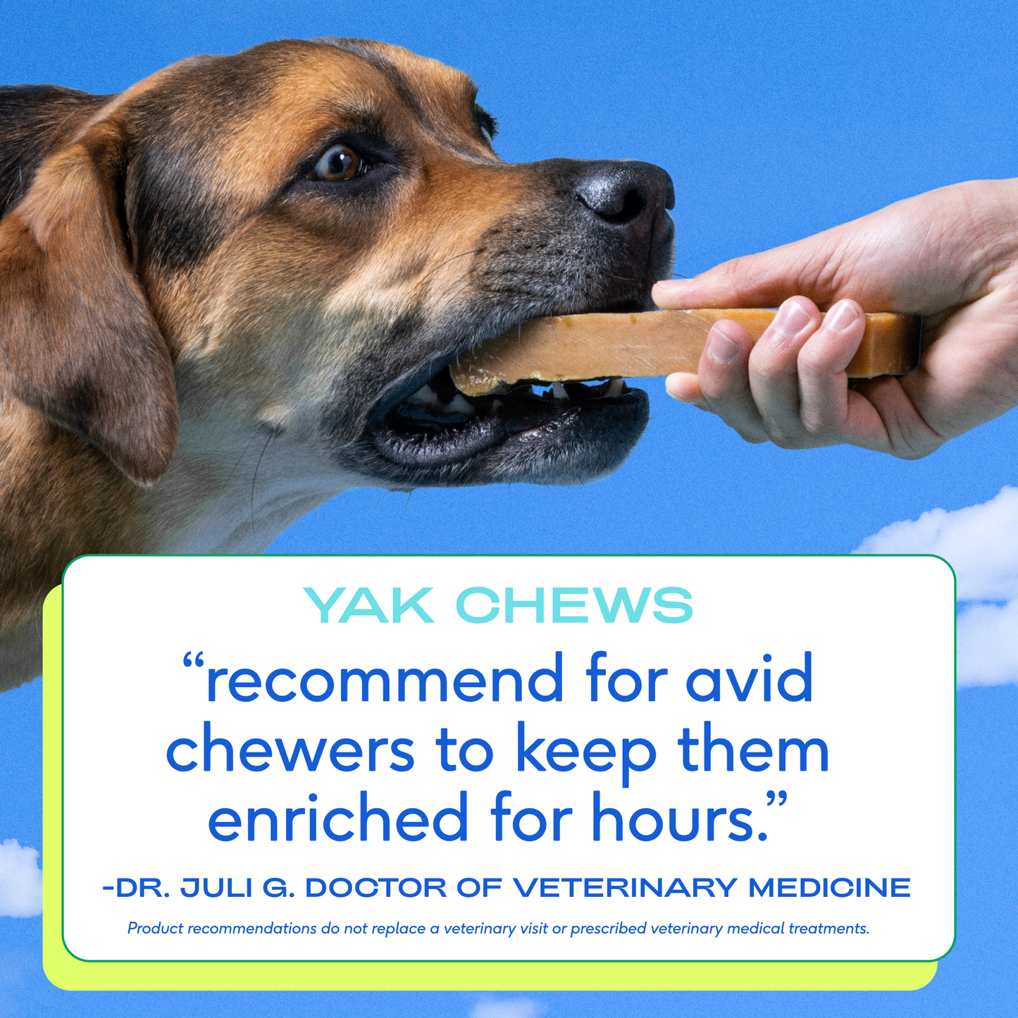 Native Pet - Yak Chews - Medium