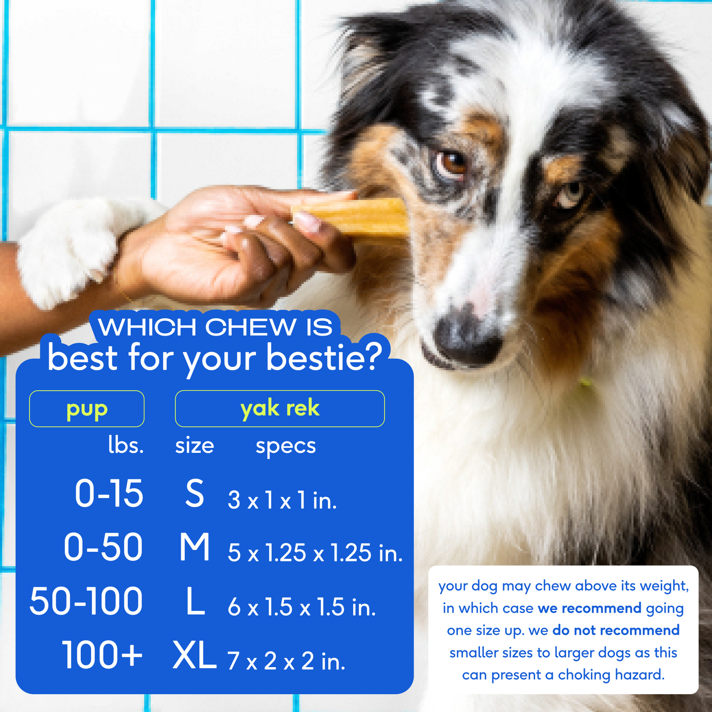 Native Pet - Yak Chews - Medium