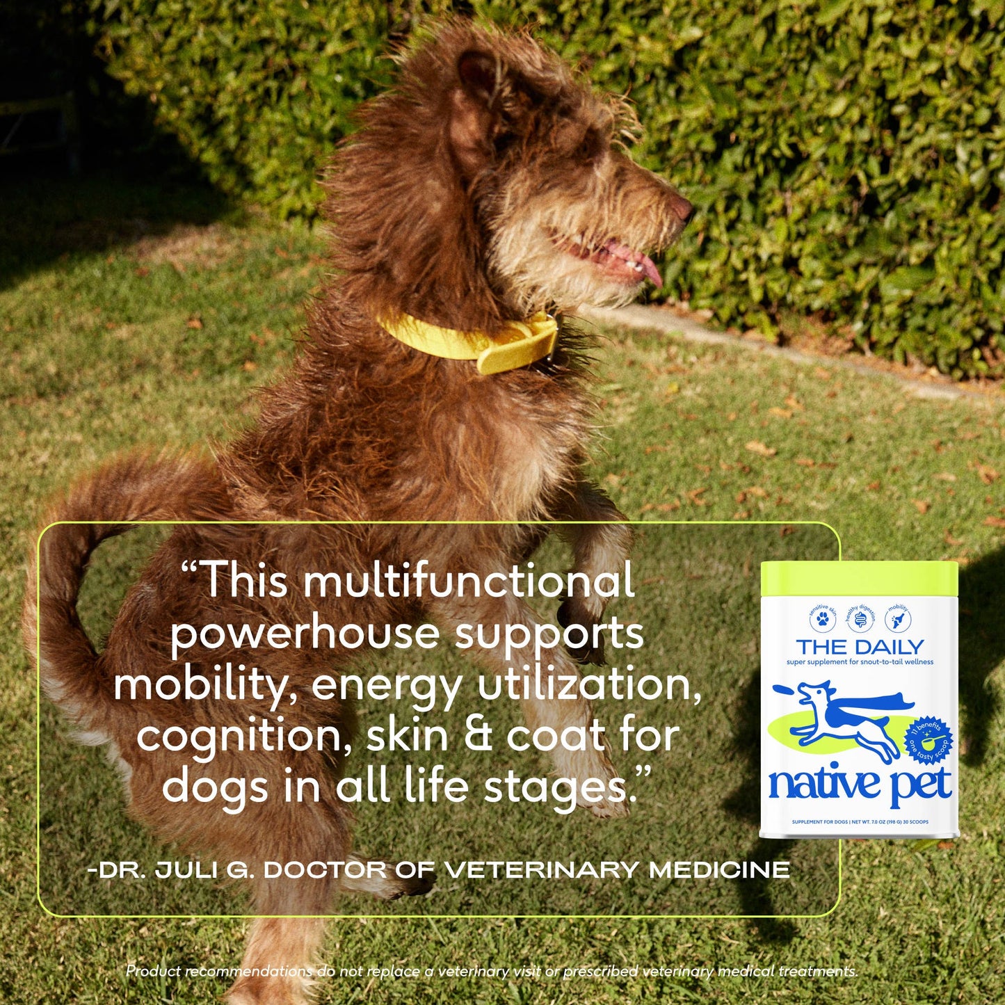 Native Pet - The Daily Powder Supplement, 11-in-1 Multivitamins for Dogs