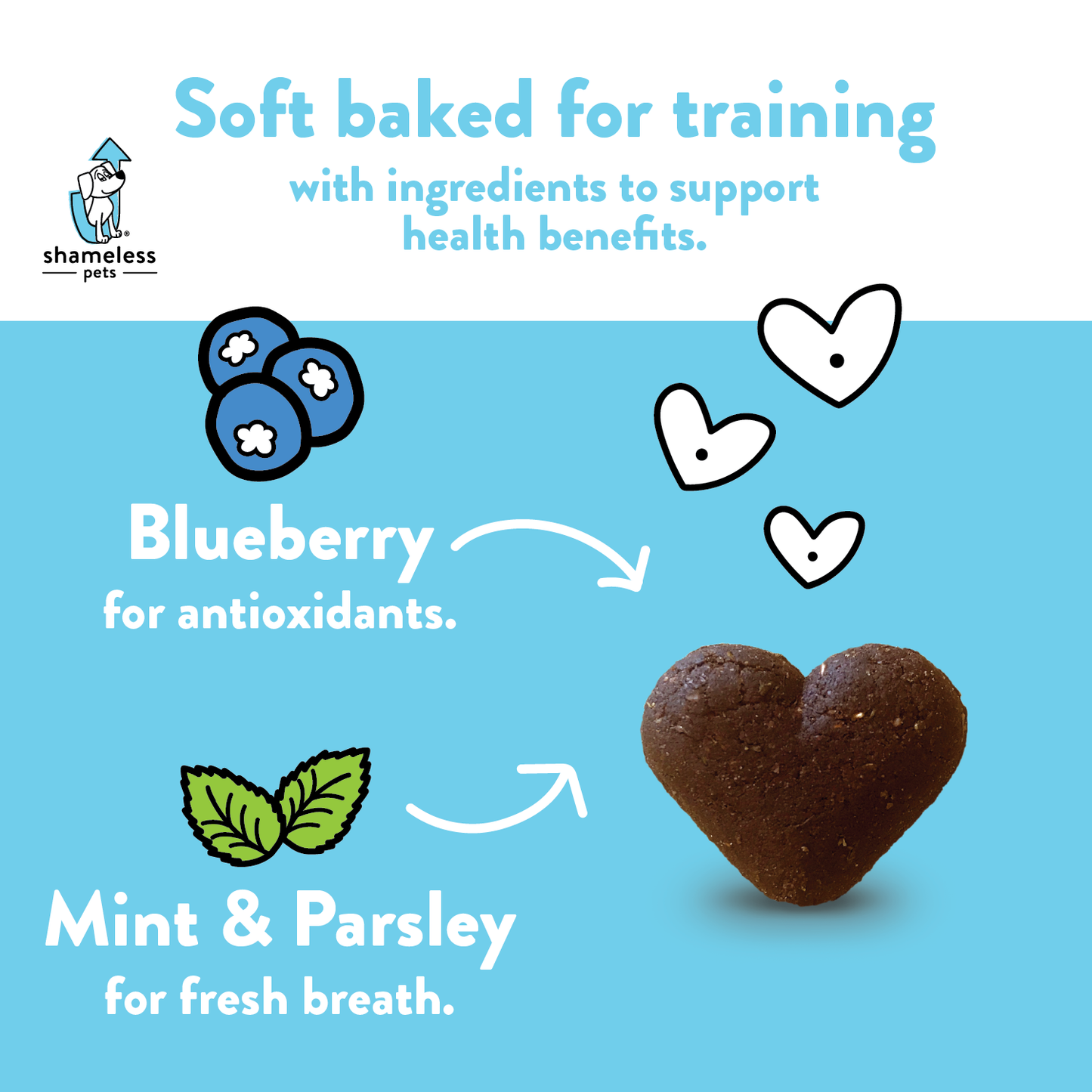 Shameless Pets - Blueberried Treasure Soft Baked Dog Treats