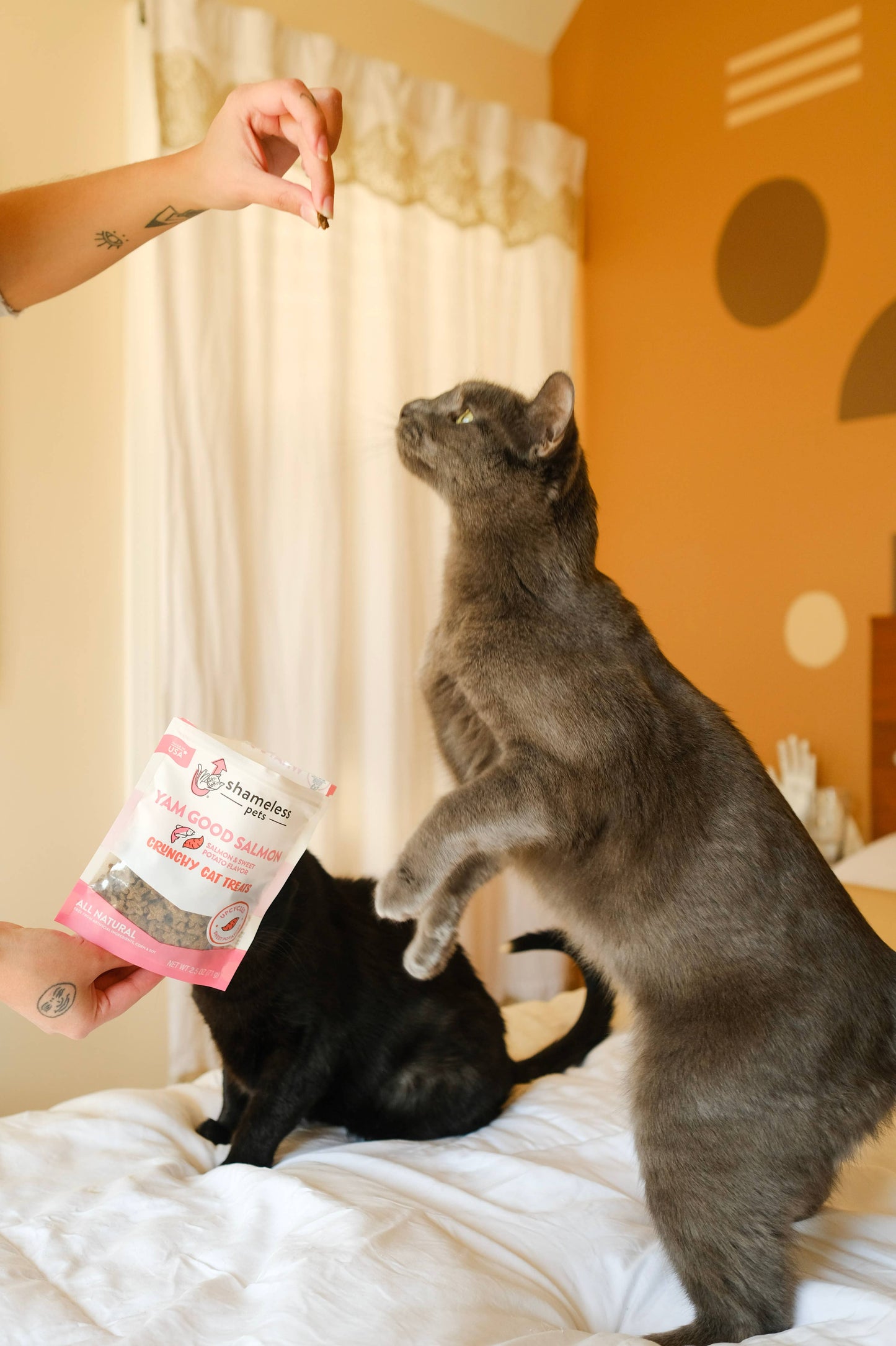 Yam Good Salmon Crunchy Cat Treats