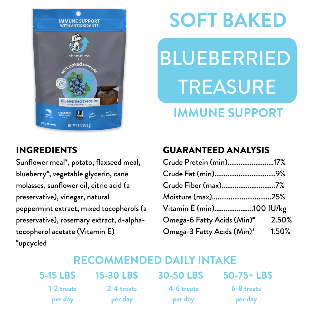 Shameless Pets - Blueberried Treasure Soft Baked Dog Treats