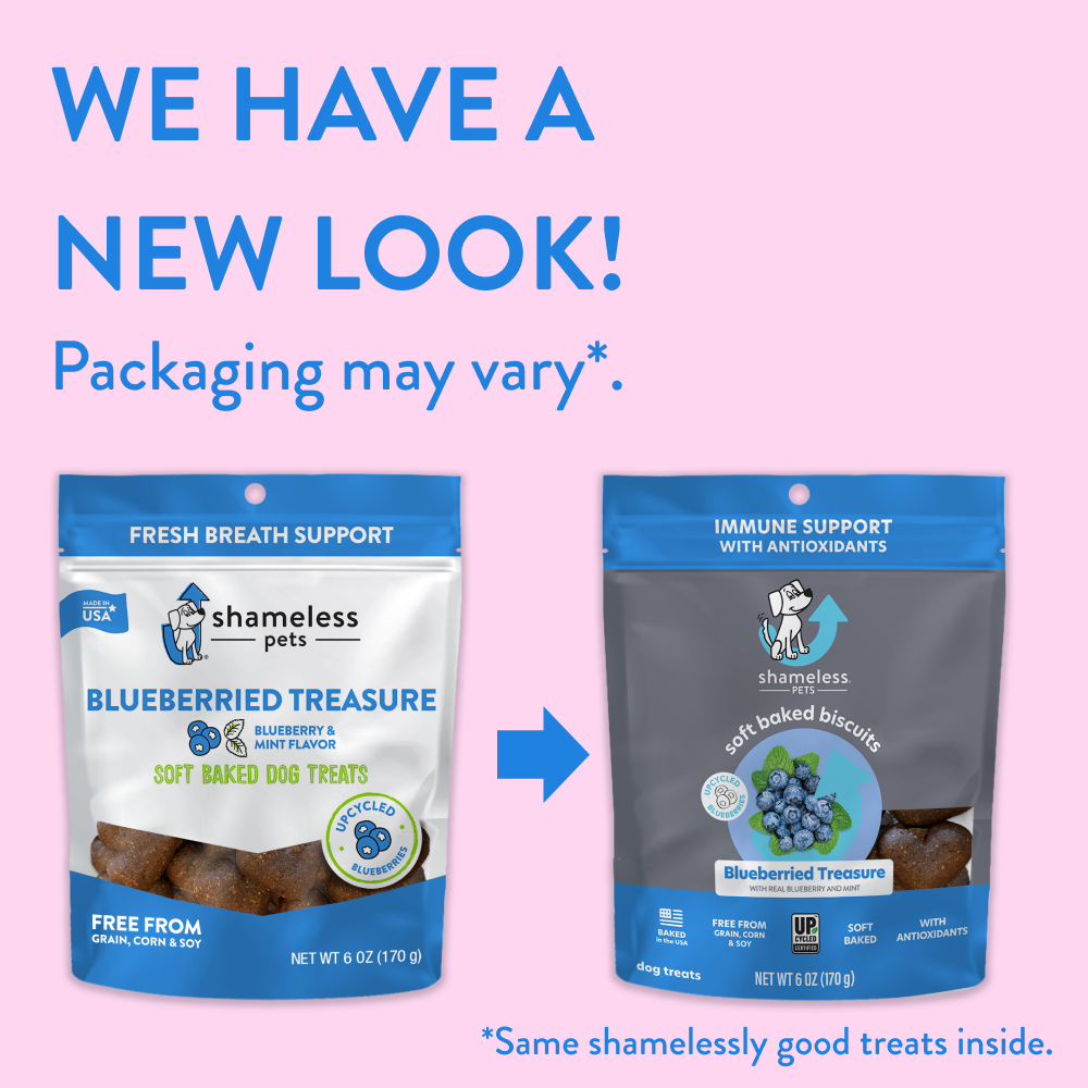 Shameless Pets - Blueberried Treasure Soft Baked Dog Treats