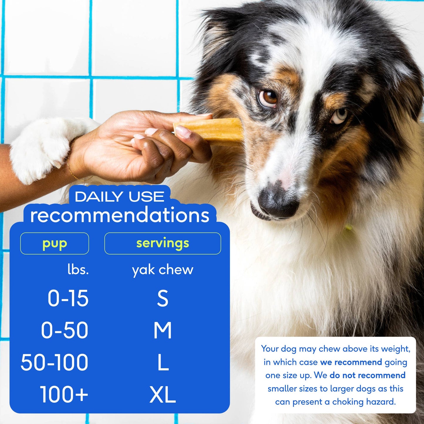 Yak Dental Chews , Himalayan Cheese Dog Treats: XL