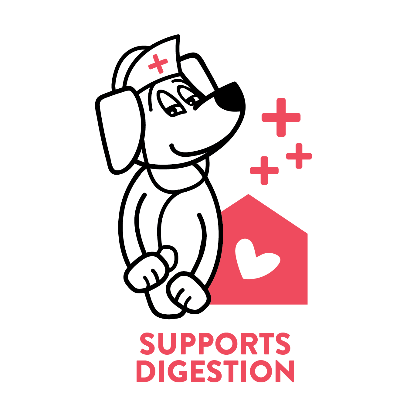 Shameless Pets - A Cluck A Day (Pre/Probiotic) Dental Sticks Dog Treats