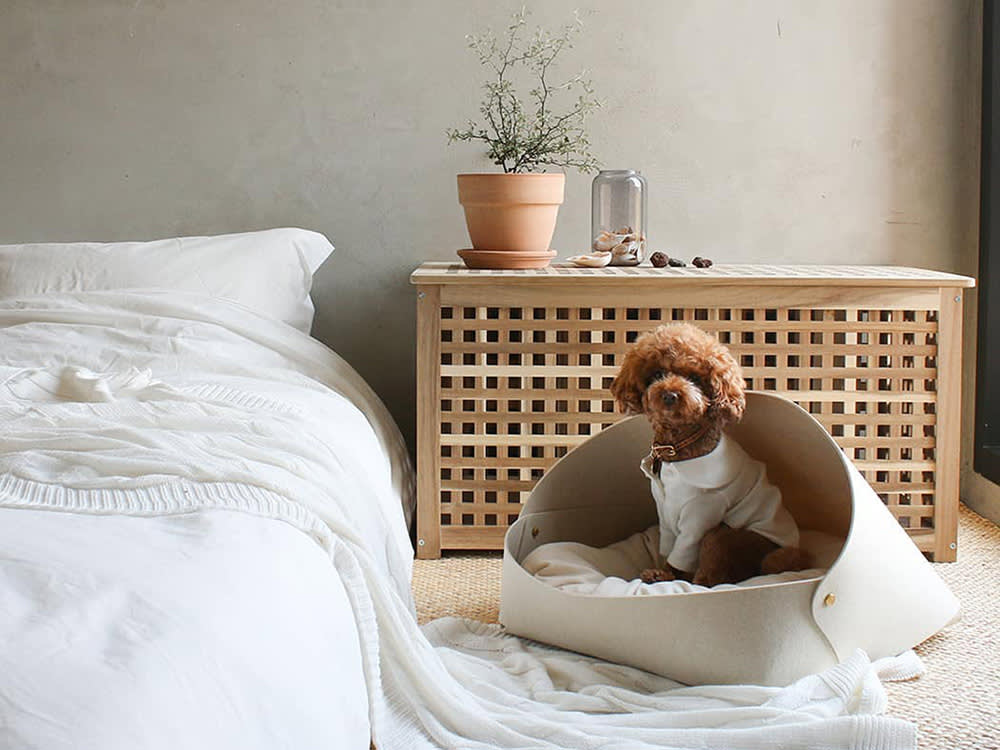 Pets: Elevated Every Day Essentials