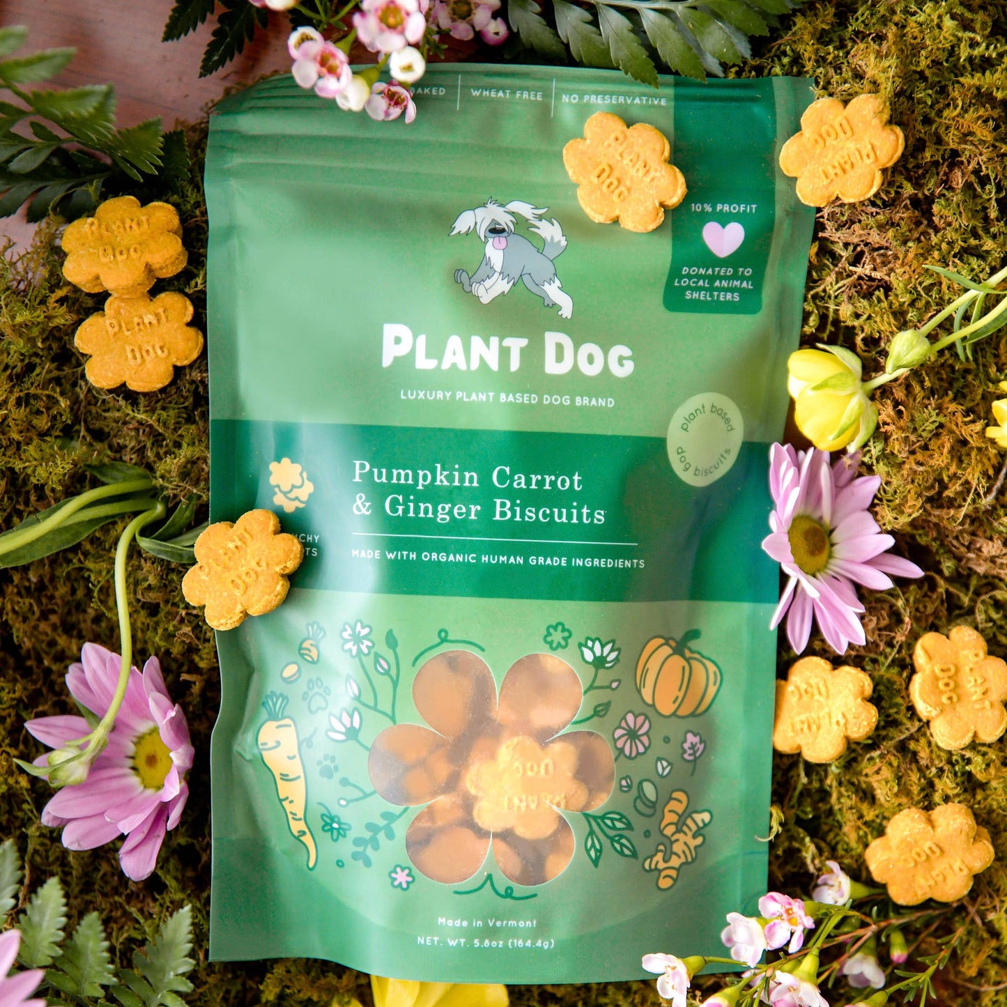 Plant Dog - Pumpkin and Carrot Ginger Anti-Inflammatory Dog Biscuits