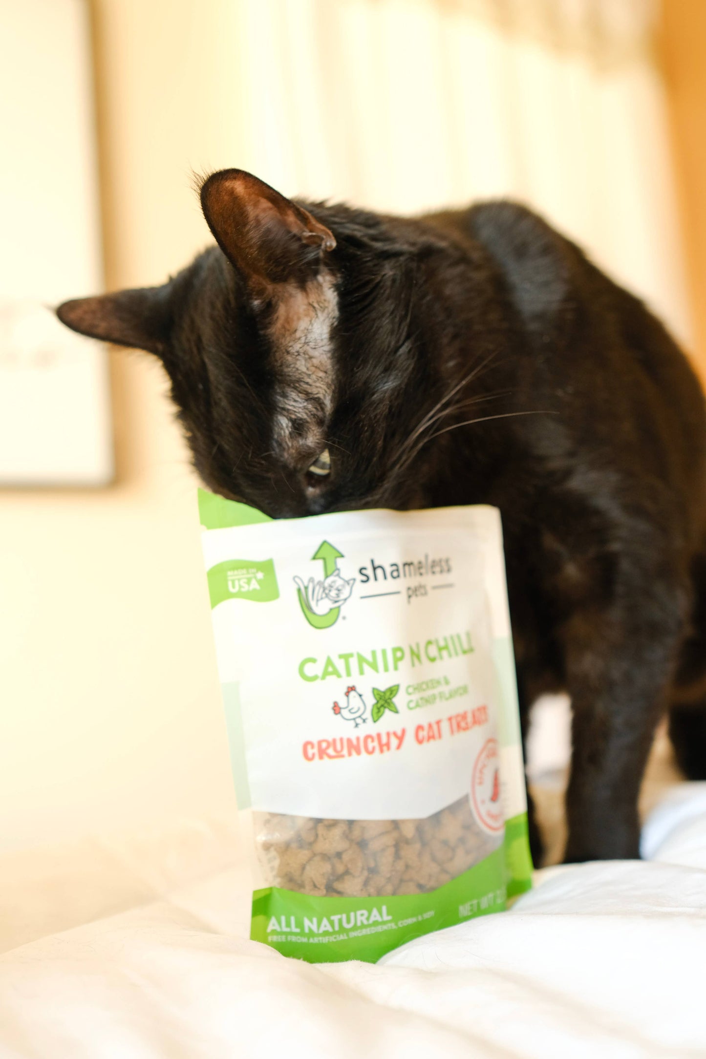 Shameless Pets - Catnip N Chill Crunchy Cat Treats